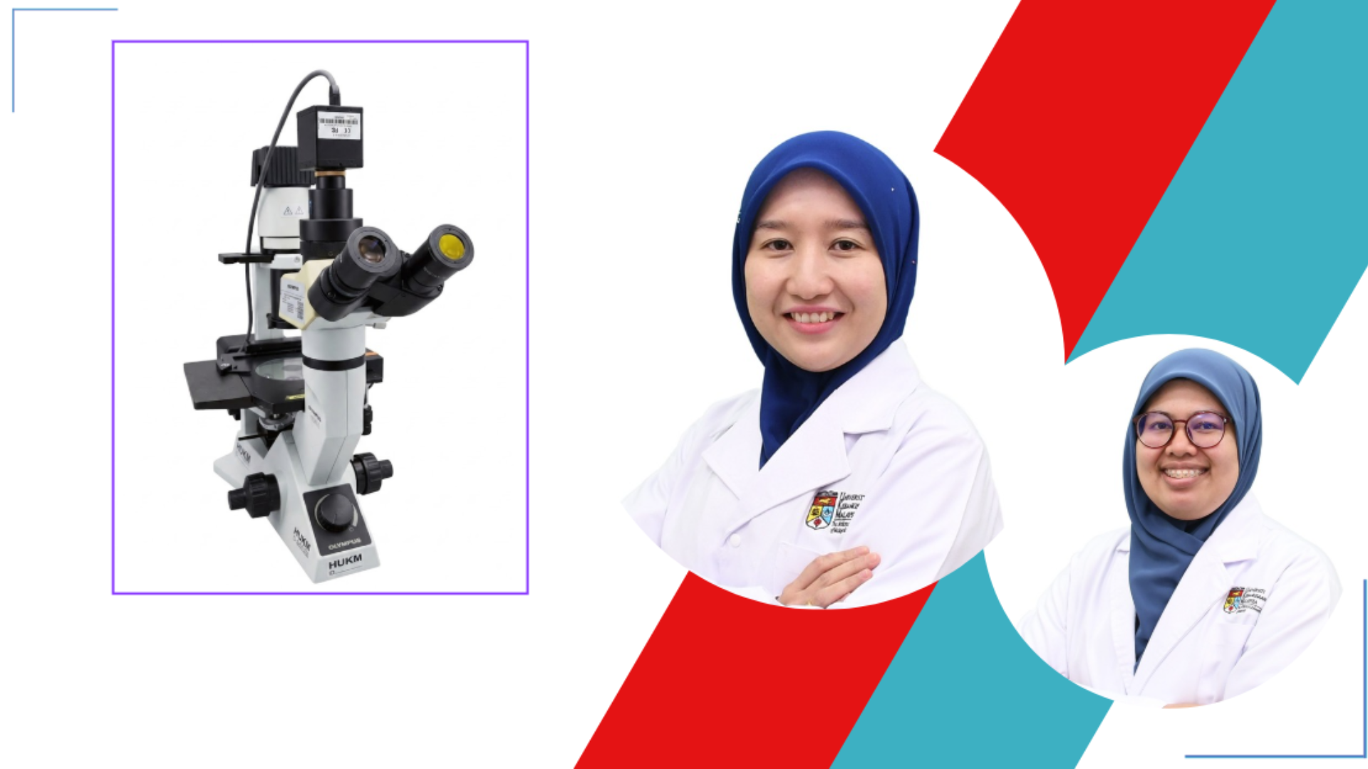 INVERTED MICROSCOPE OLYMPUS CKX-41 -ID LAB