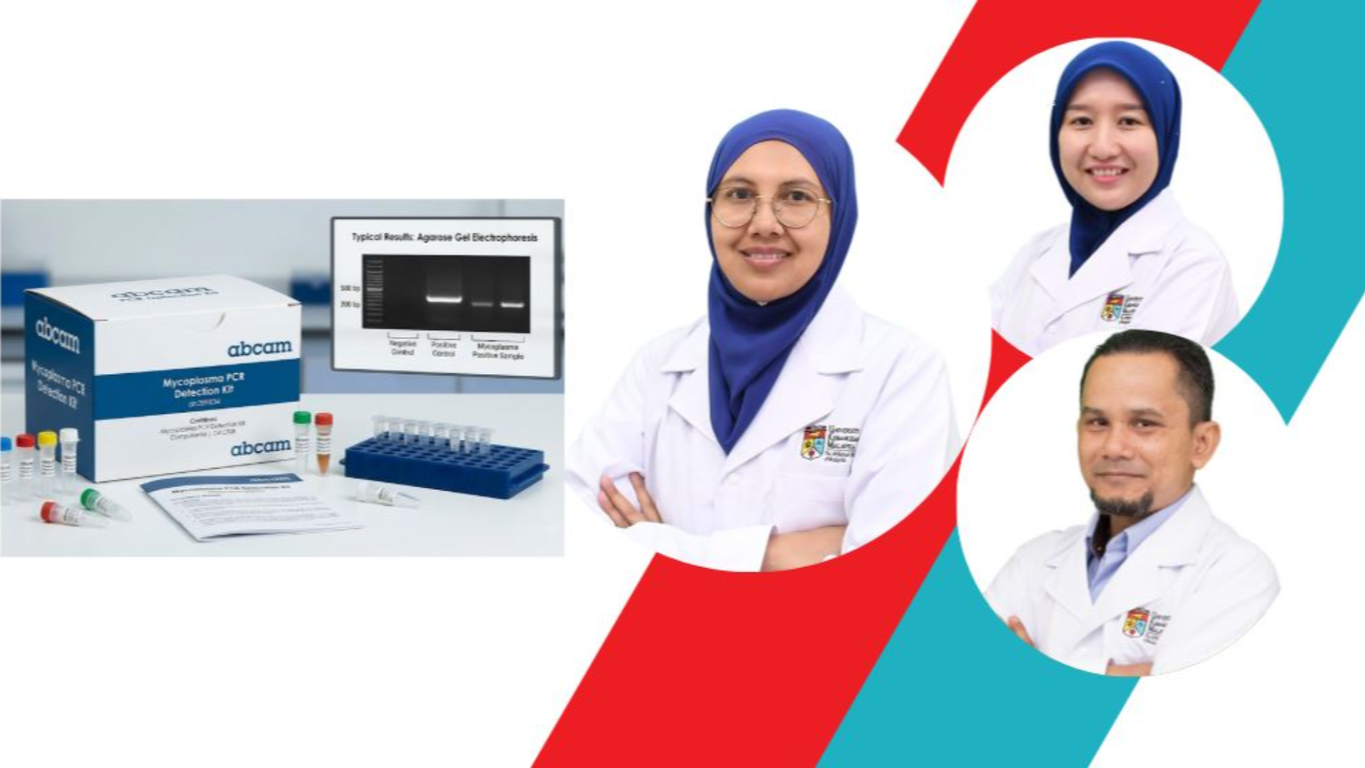 Analisis Saringan Mycoplasma