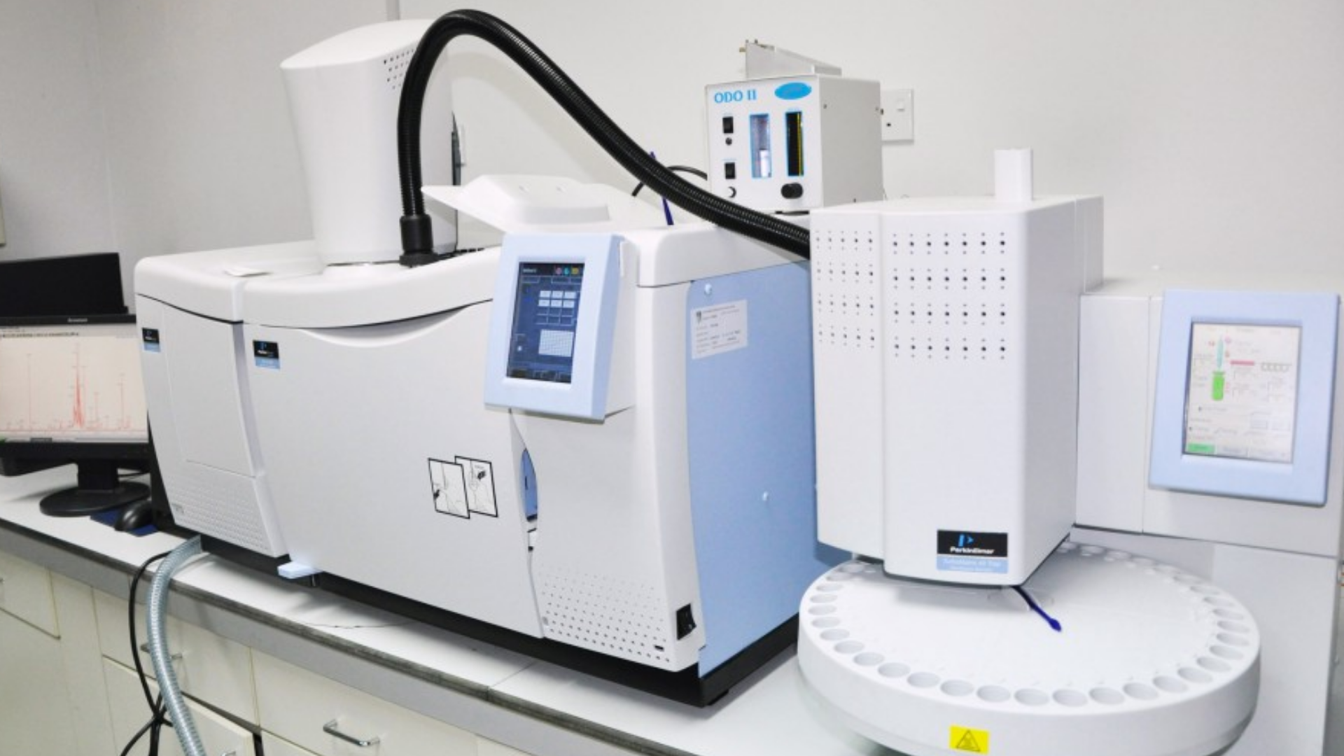 Gas Chromatography-Mass Spectrometry